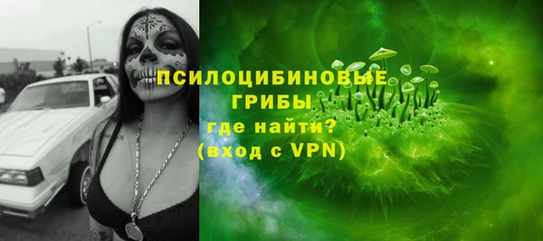 прущие грибы Верхнеуральск