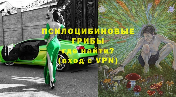 прущие грибы Верхнеуральск