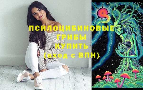a pvp Верхний Тагил