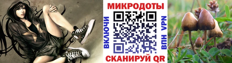 Галлюциногенные грибы Psilocybine cubensis  Купить где  Спасск-Рязанский 